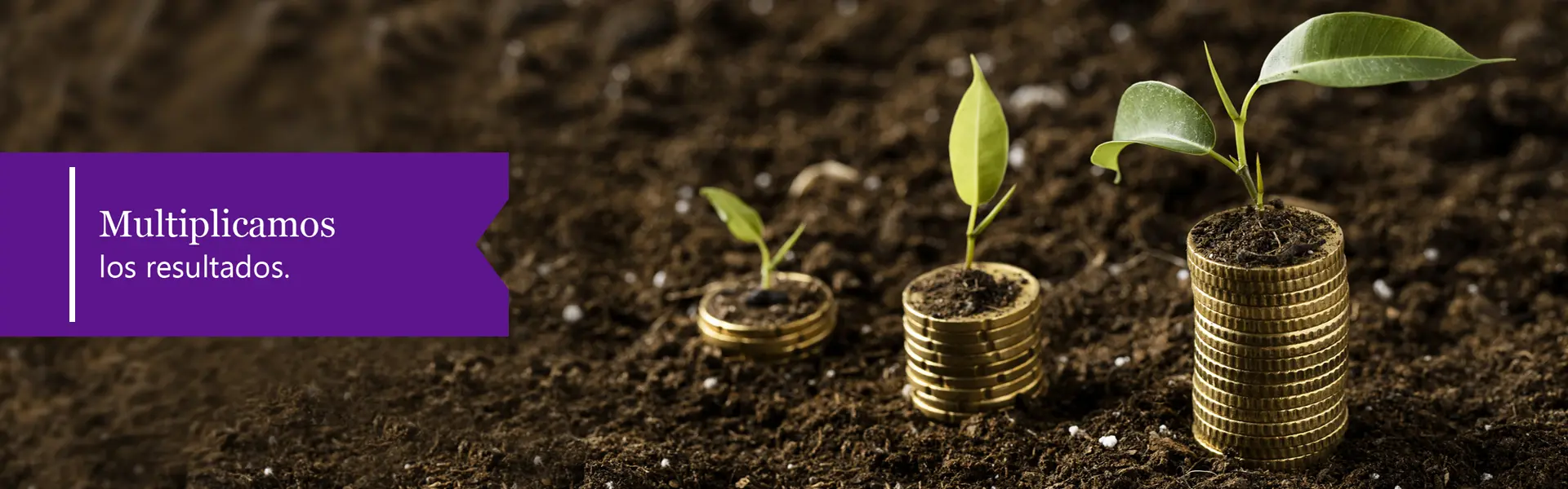 Atardecer en el lago