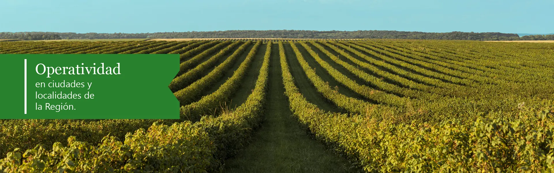 Atardecer en el lago